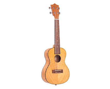 Exotic Mahogany Ukulele - ウクレレの画像